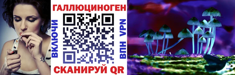 Купить закладки  Енисейск  Галлюциногенные грибы мицелий 